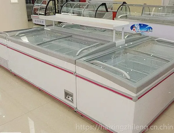 ����/����Ͽ������������ϵ������ �������ӽ����䶳�񳧼�