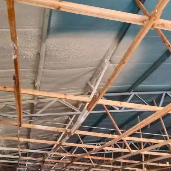 大棚 养殖场 工厂车间 钢结构保温聚氨酯发泡机 彩钢瓦 彩钢棚现场发泡硬质保温泡沫