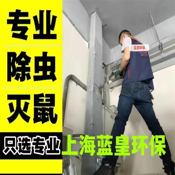 上海七宝灭鼠服务-上门抓老鼠 上海四害消杀公司