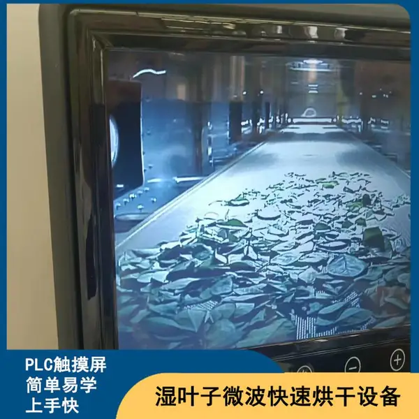 新鲜蔬菜微波干燥设备 葱花香菜干燥脱水机 微波烘干机隧道炉