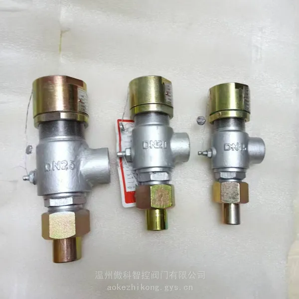 傲科智控-A21W型-不锈钢弹簧微启式丝扣安全阀 外螺纹安全阀 A21W/F-16P DN20