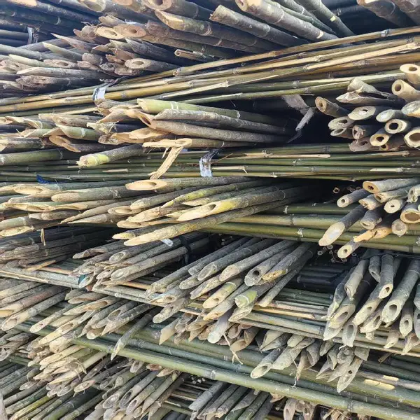 菜园搭架竹竿 2米 粗1.5厘米 直杆 易插土 豆角架
