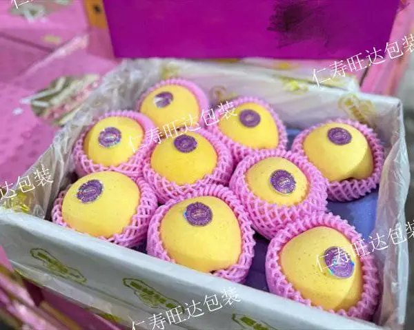 食品包装袋打样要多久 仁寿旺达包装供应