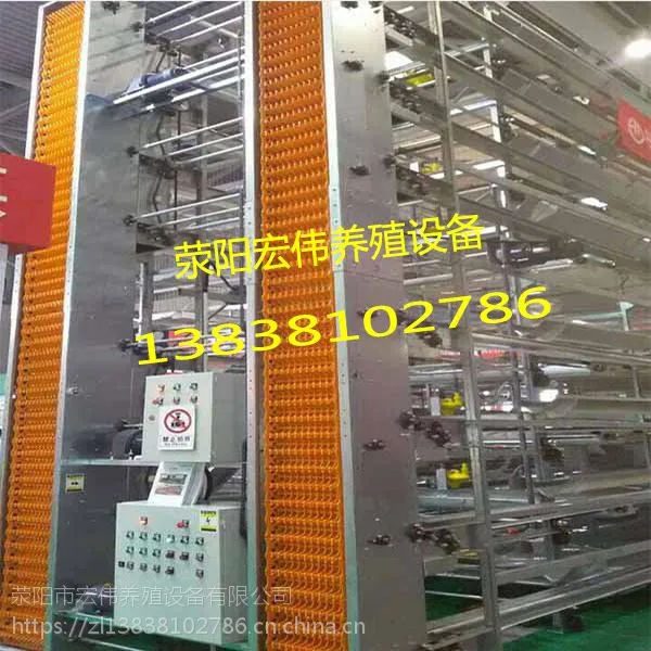 生产全自动一键控制层叠捡蛋机收蛋机 宏伟养殖设备