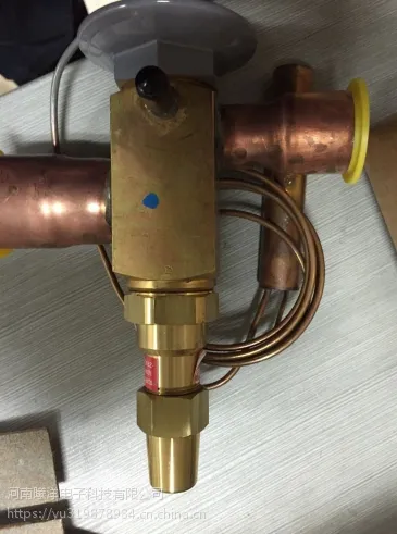 SPORLAN�������ͷ�/˹�������ͷ�FVE-1-C/FVE-3-C����ƽ�ⷧ��