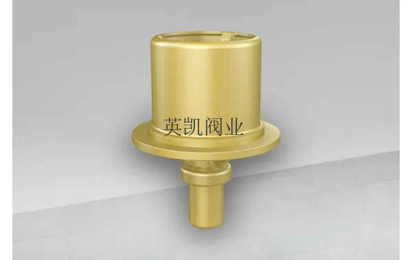 上海节温器哪家好 服务为先 常州英凯阀业供应
