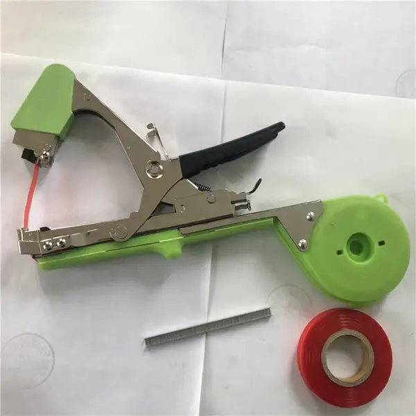������������ �ֶ���������֦�� �������¿������