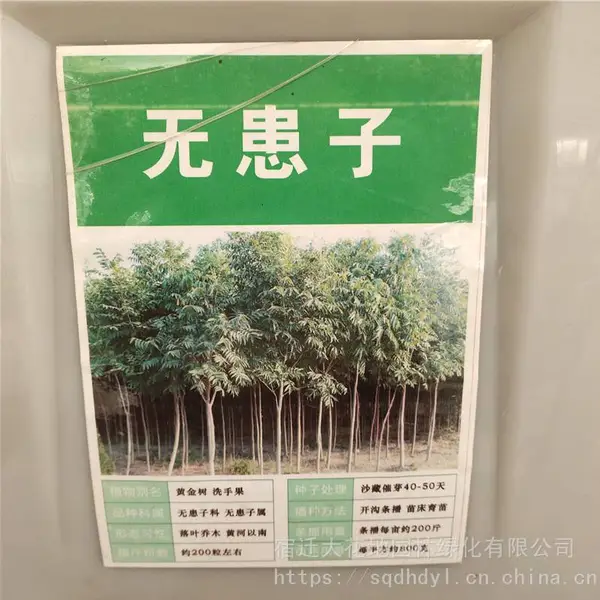 �²���ľ���� �޻������� ��ѿ*** �۸���� ***