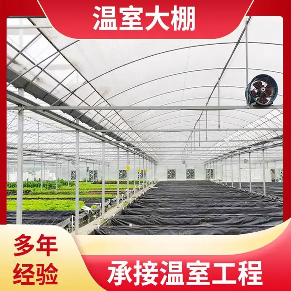洛阳西工 蝎子养殖温室 大棚日光薄膜 中科 ZKXG-05