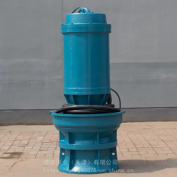 盐场排淡水用的轴流泵-天津QZB潜水轴流泵生产厂家