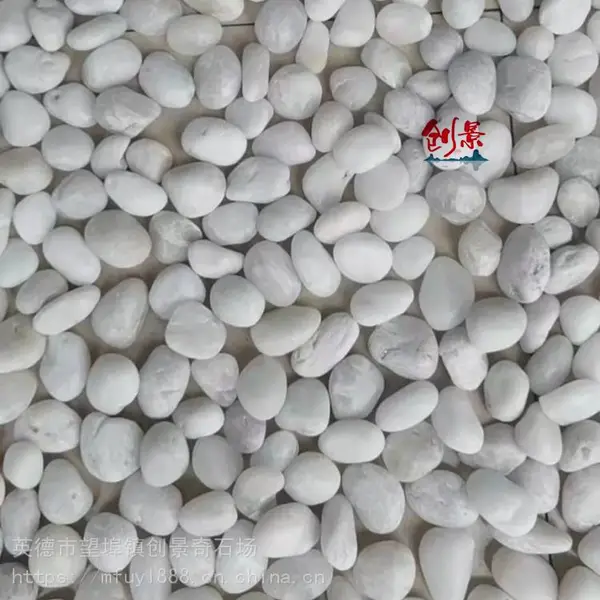 园艺彩色雨花石鹅卵石-白色鹅卵石景观设计-抛光精雨花石价格