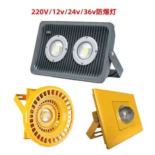 LED防爆隧道灯 30w-200w台车行车防震36v防爆灯