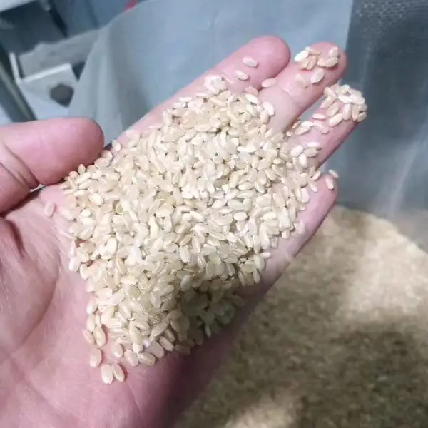 加工糙米