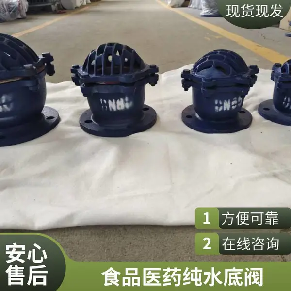 铸铁水泵底阀 DN150 法兰底阀 带过滤网 污水处理泵站配套