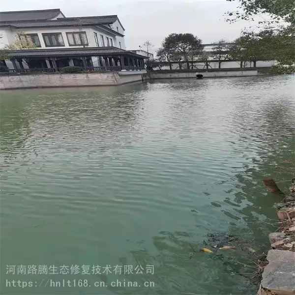 河道湖泊污水处理吸附剂滤料柱状活性炭
