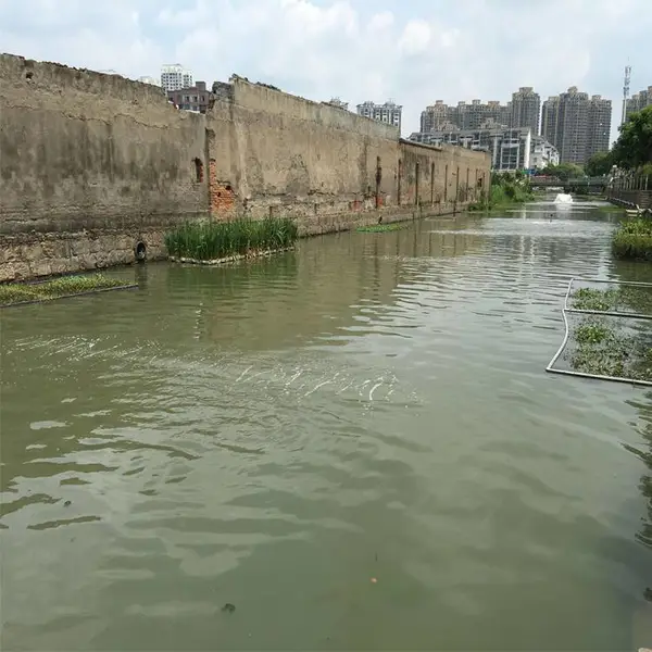 �����ϲ��ڳ���ˮ���� ��������� ԭλˮ��ϵ�޸�����