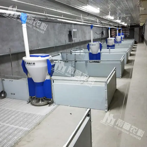 仔猪用保育粥料器 液态饲喂器 干湿补料槽 自动加热不锈钢食槽 南商农科