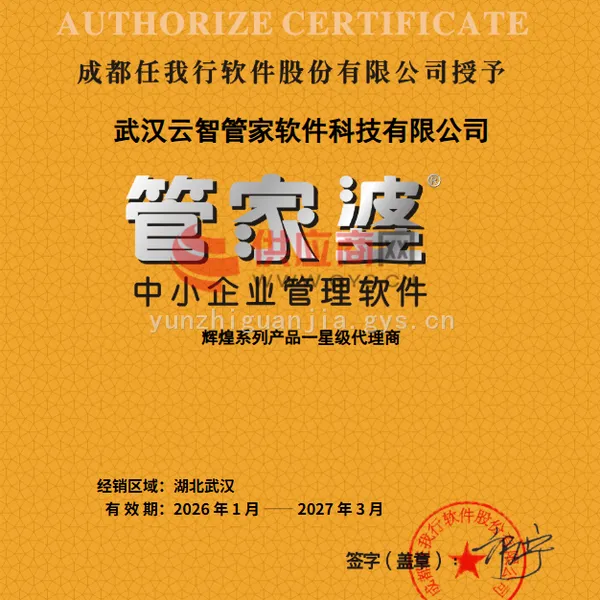 代理整数