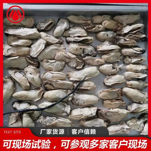 FD真空冻干机 果蔬脆宠物食品冻干设备 源头厂家可定制 联兴机械