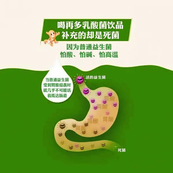 后生元益生菌发酵物oem代加工