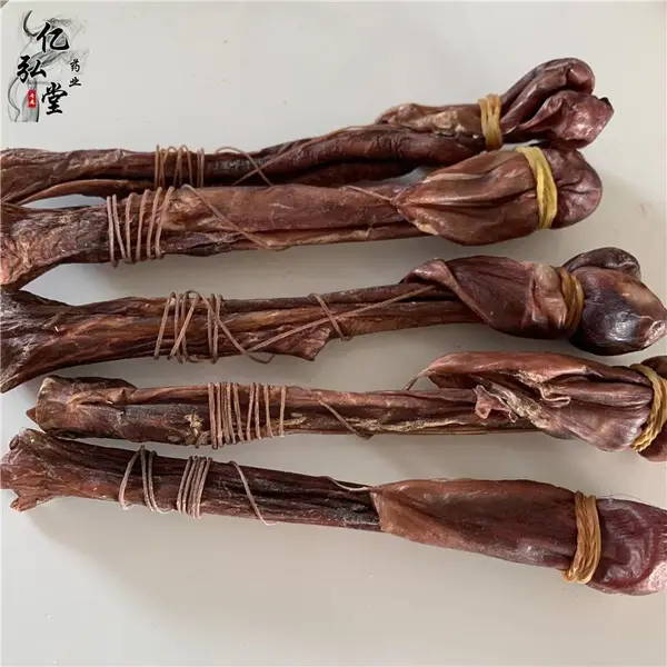 狗肾 狗鞭价格 狗鞭批发