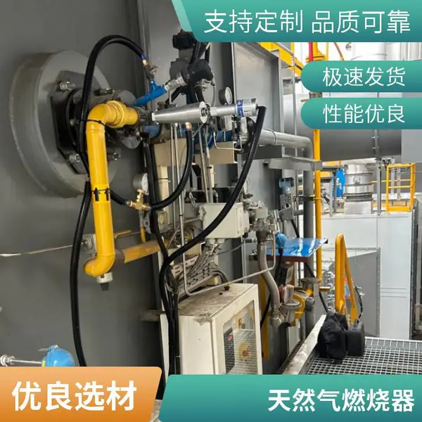 天然气熔铝炉燃烧器 天然气熔炼炉烧嘴 低氮燃烧喷嘴 岱鼎