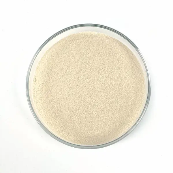 鼠李糖乳杆菌NSL0401 益生菌原料 1000亿CFU/g活菌 食品级冻干粉