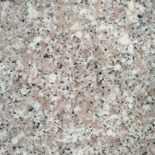 山东樱花红/樱花红厂家/樱花红价格/樱花红市场