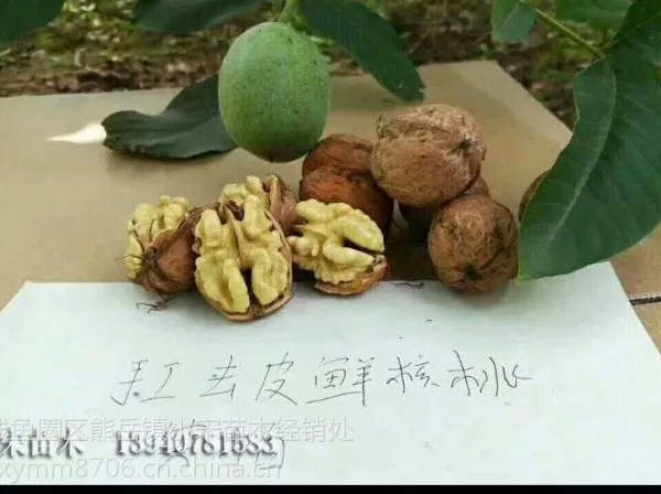 �ɺ�3�ź�����Ʒ�ּ�� ���ط���