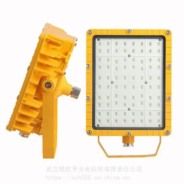 防爆LED射灯 LED防爆射灯AY-BLD-250W/220V,支架式,正白光