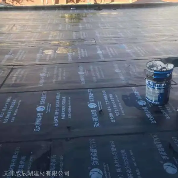 东丽区防水公司---专业防水补漏维修 价位亲民