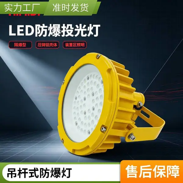 壁挂防爆灯防爆投光灯 LED 防爆泛光灯厂房吸顶防爆照明灯具