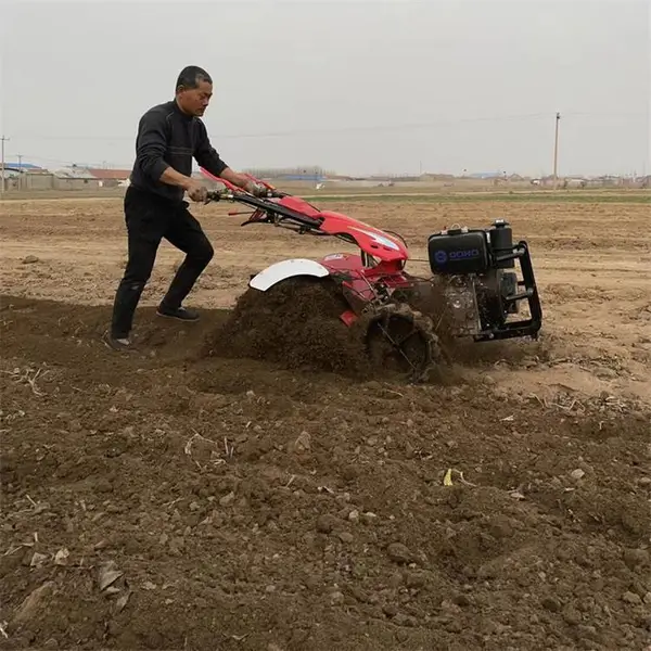 ����������ԭ�� �������΢���� ��԰С�Ϳ�����