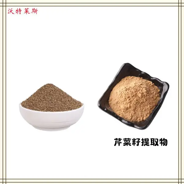 芹菜籽提取物10:1有机酸/芹菜素植物提取物 1公斤起订 包邮