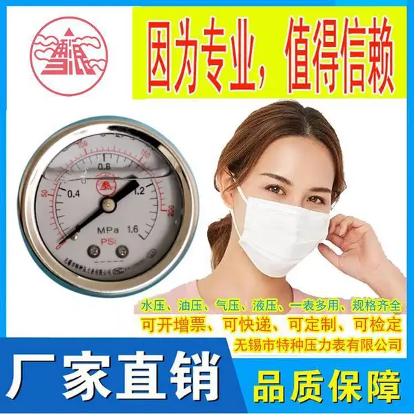 定制预售雪浪特种仪表 耐震压力表YN-60联接形式可选