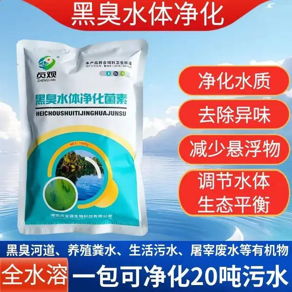 污水处理黑臭水体净化微生物黑臭河道养殖粪水屠宰污水cod降解