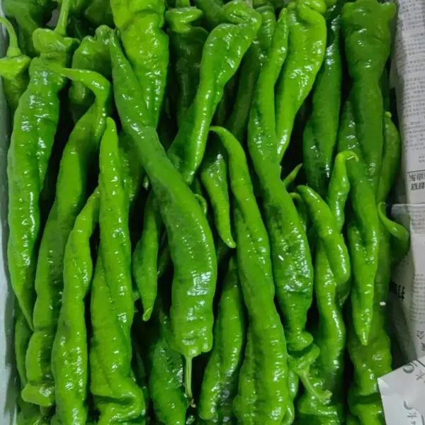 虎门食材配送 虎门蔬菜价格 虎门食堂承包 服务好