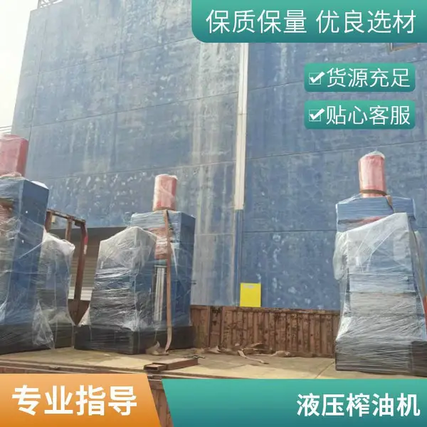 环保型ADL系列全自动油菜籽榨油机 食用油压榨机械 精工制作