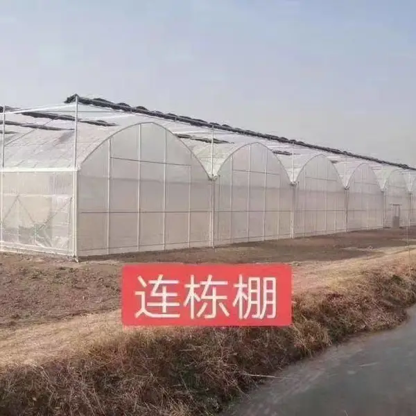 新型产品大棚管畜牧业养殖业种植业专用管材热镀锌镀锌带产品