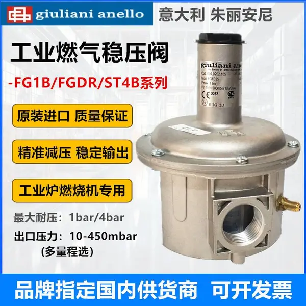 正品朱丽安尼giuliani燃气稳压阀FG1B25工业炉燃烧专用