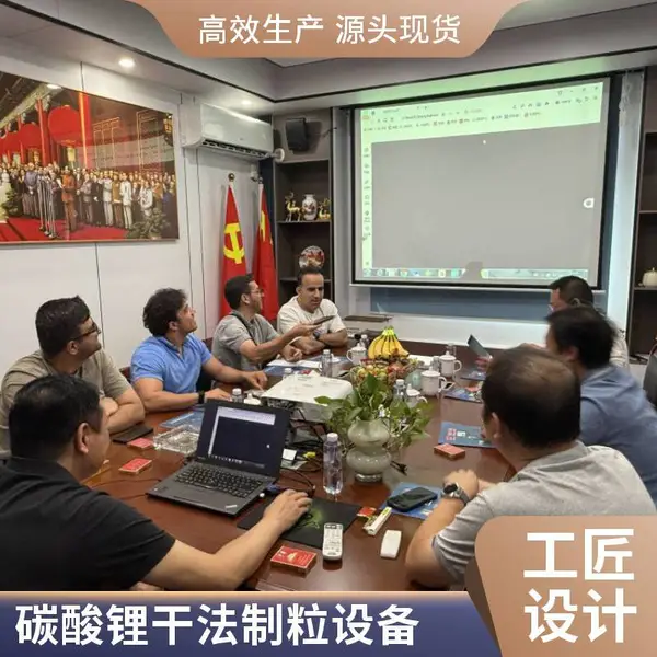 碳酸锂造粒机厂家 锂电专用造粒机 辊压式颗粒机 厂家供应