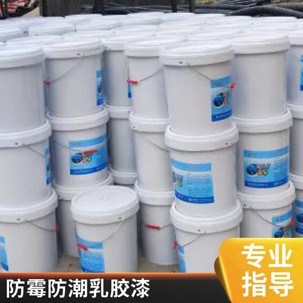 防霉防潮内墙涂料水性漆 酒店会所装修专用 峡辉20kg桶装