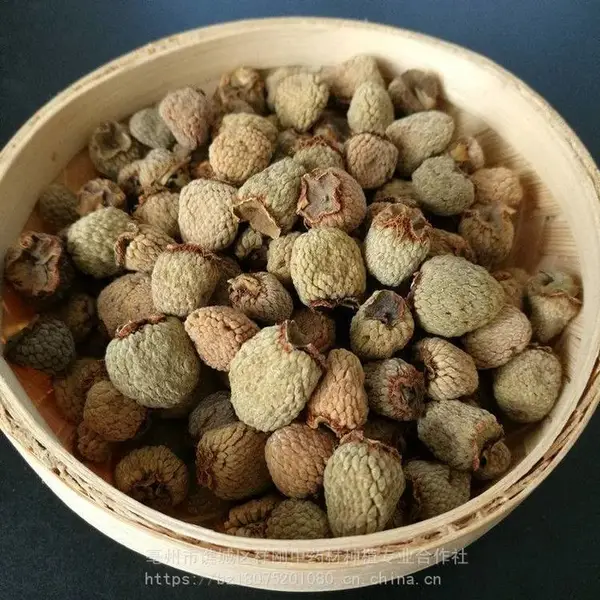 覆盆子 识别真假覆盆子 中药材覆盆子购买
