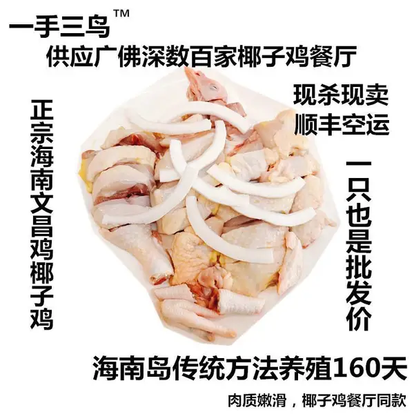 批发海南文昌鸡椰子鸡整鸡优质土鸡散养鸡椰子鸡餐厅火锅专用鸡土鸡肉山凤凰