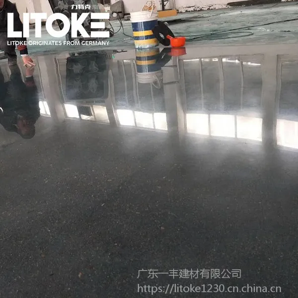 锂基水泥密封固化剂 彩色透明液态硬化剂 力特克粉状固化剂 生产厂家