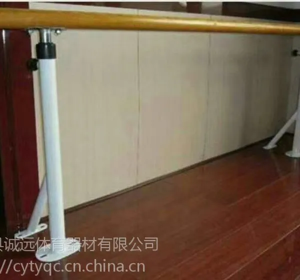 �赸���ƶ�ʽ/ǽ��ʽ/��ͯ�Ѹˡ���Զ������