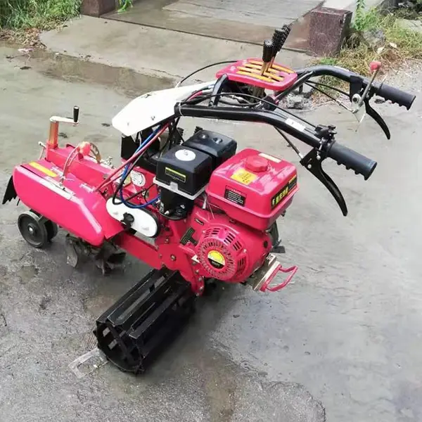 �������ǿ������۸� ��ֲ��ݮ������¢�� �๦�ܳ���������