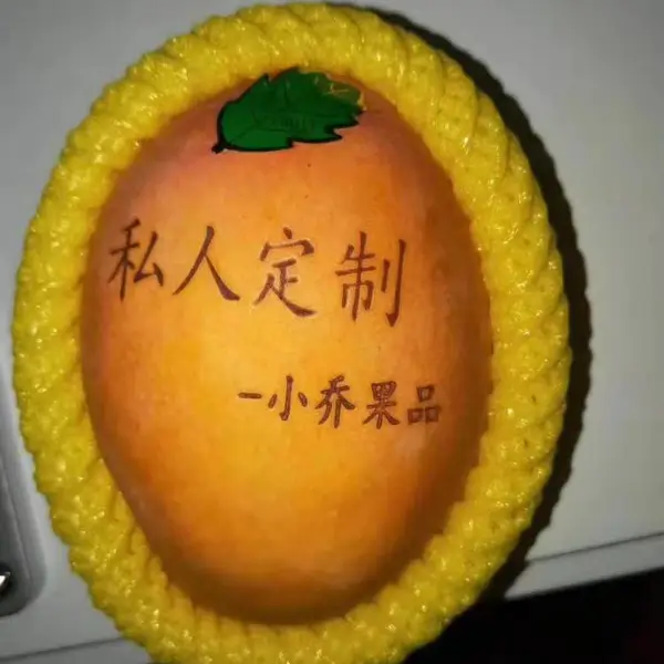 ��Ӧ��������ƻ�����Ӽ��������Ƥ���ֶ�����̼������ֻ�