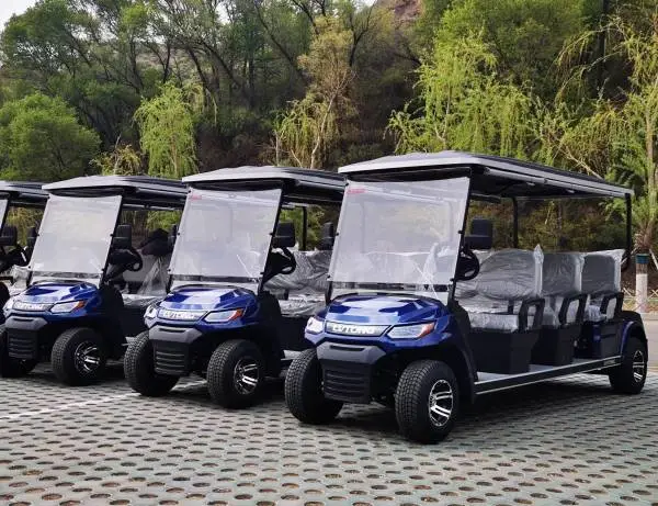 汕尾城游览车旅游观光车租赁出租