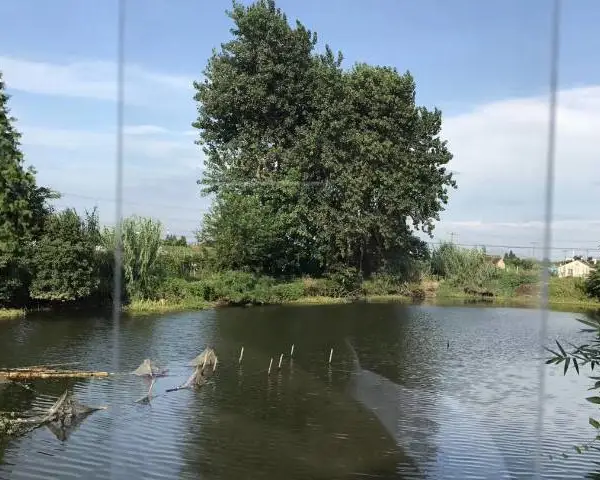 湖州耐力板价格多少 江苏振亚塑胶科技供应